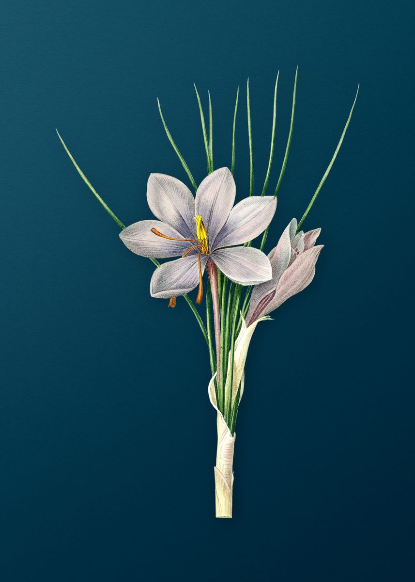 'Autumn Crocus on Teal' Poster by Holy Rock Design | Displate