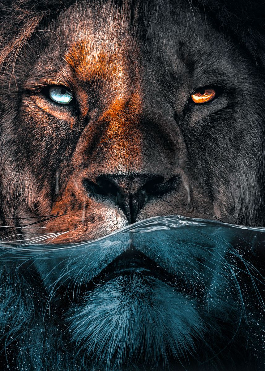 'Badass Lion' Poster by Zenja Gammer | Displate
