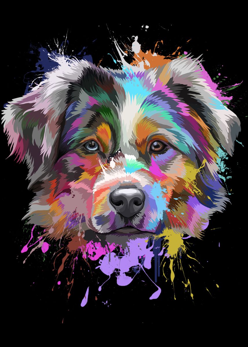 'Australian Shepherd Splash' Poster, picture, metal print, paint by Gregor Borsic Displate