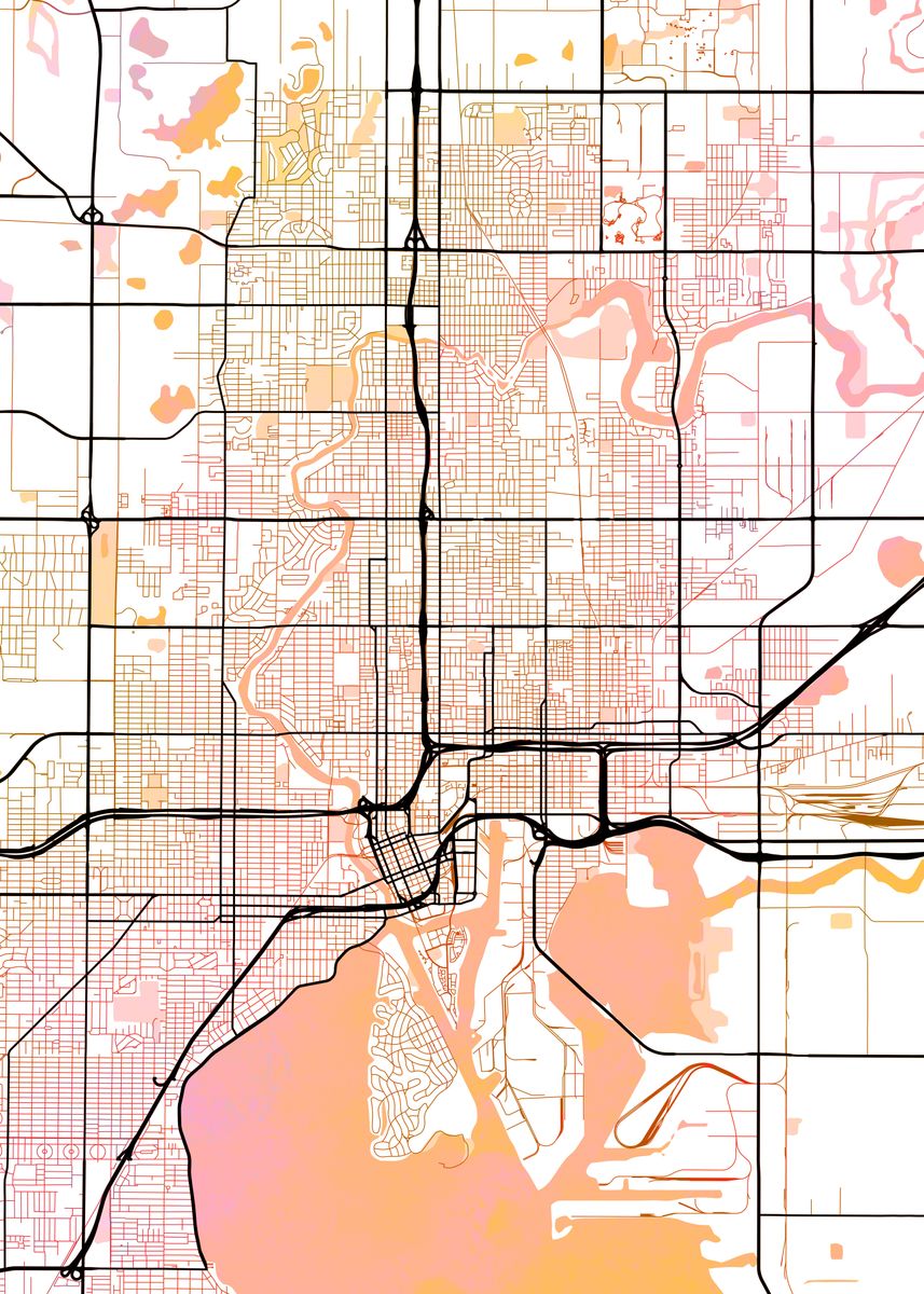 'Tampa Street Map' Poster, picture, metal print, paint by Dany | Displate