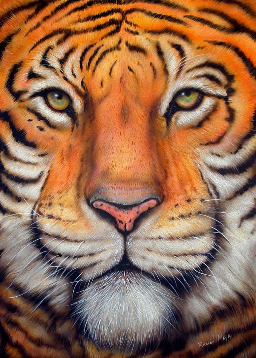 'Tiger King' Poster, picture, metal print, paint by Ricardo Maya | Displate