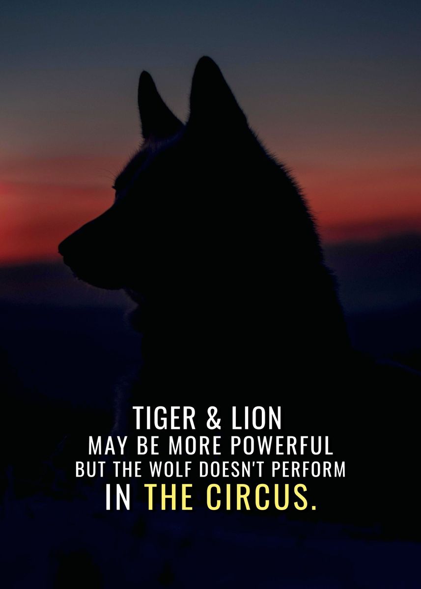 'Wolf Circus' Poster, picture, metal print, paint by Millionaire Quotes ...