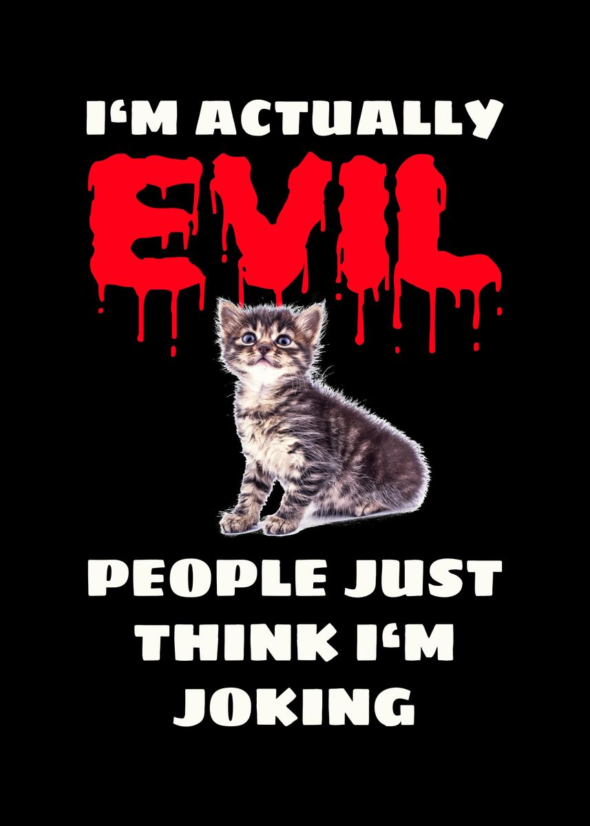 evil kitten meme