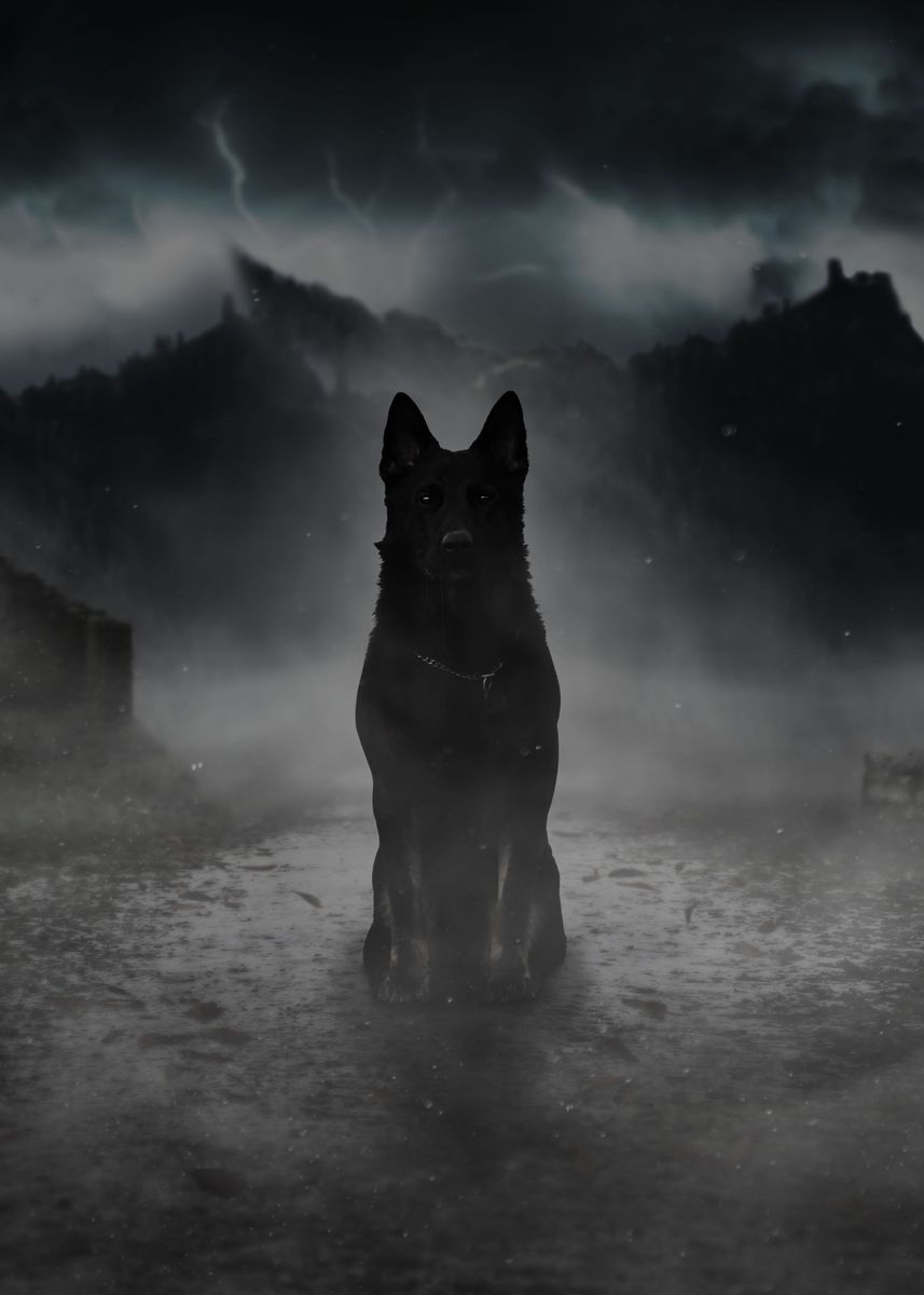 'Black Dog in the Fog' Poster, picture, metal print, paint by ...