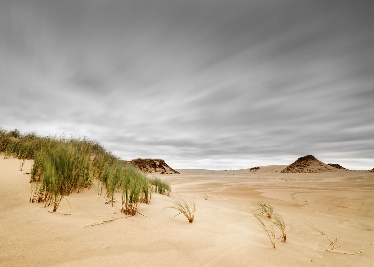 'Storm over sand dunes' Poster by Ralf Lehmann | Displate