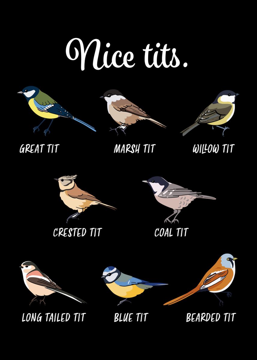 Funny Nice Tits Bird T Poster By Qwertydesigns Displate