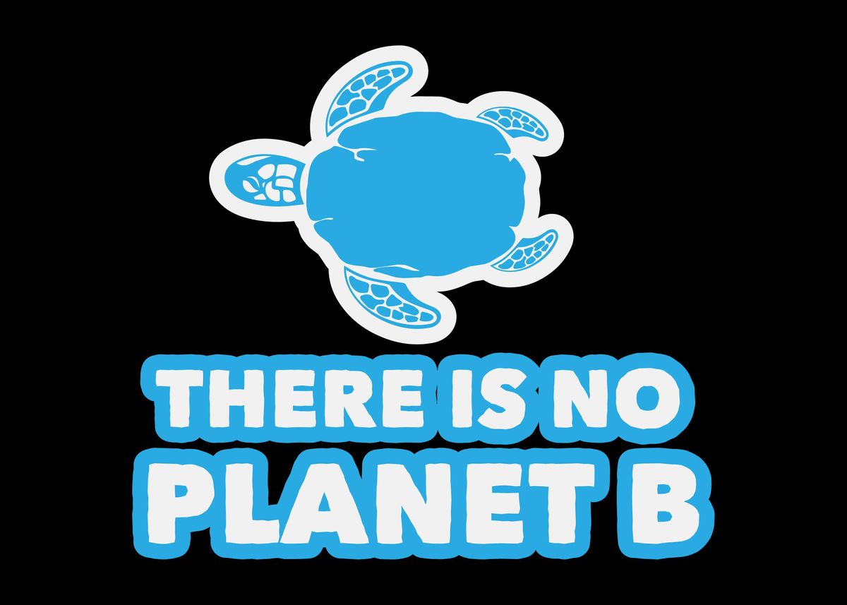 There Is No Planet B' Poster by DesignatedDesigner | Displate