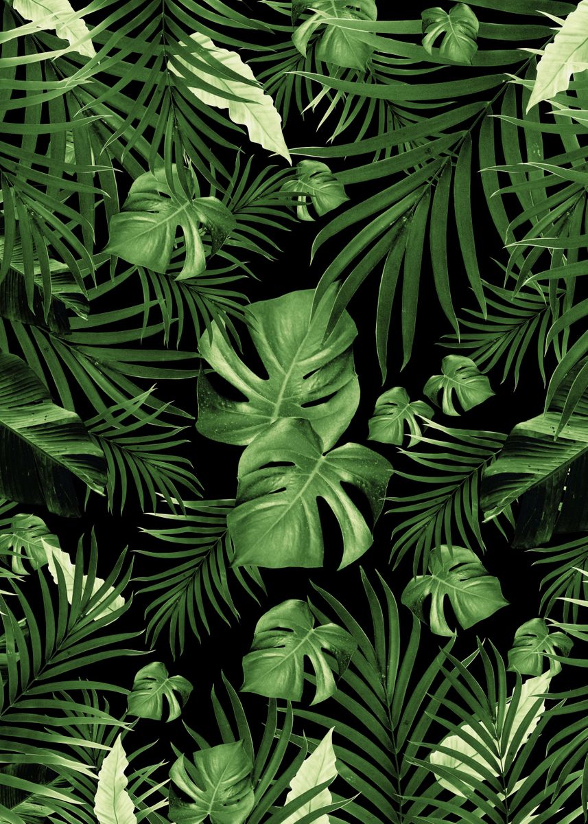 'Jungle Night Leaves 5' Poster, picture, metal print, paint by Anita's ...