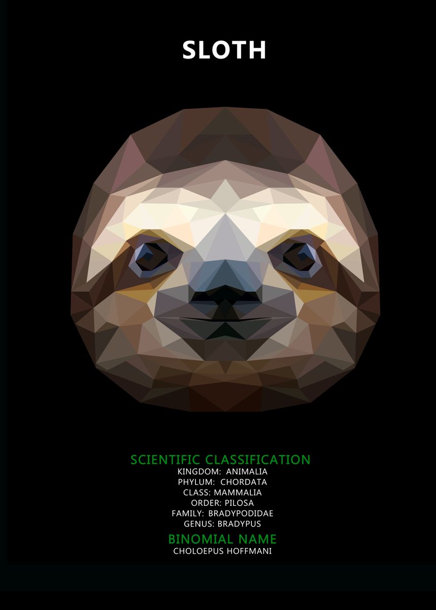 'Sloth' Poster by MyDigitalMind  | Displate