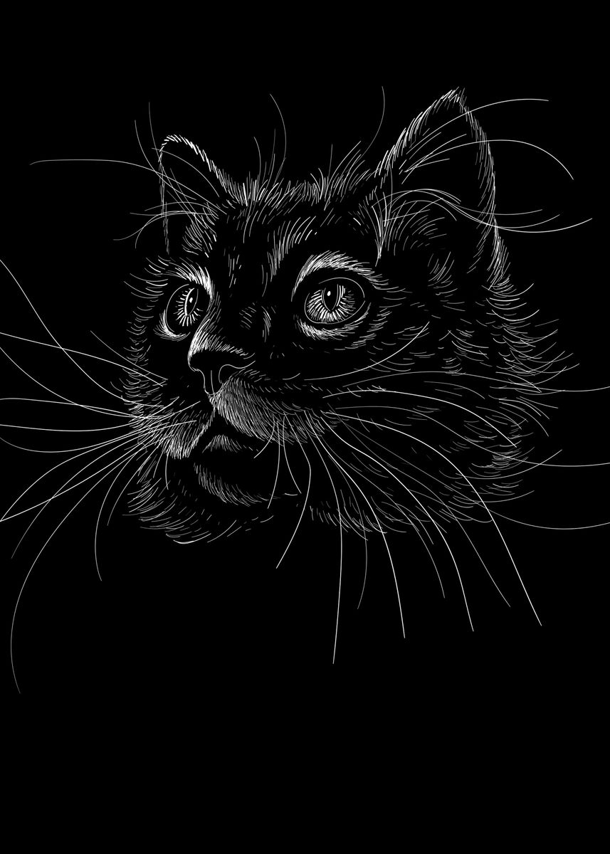 'Black Cat' Poster, picture, metal print, paint by The Matrix | Displate