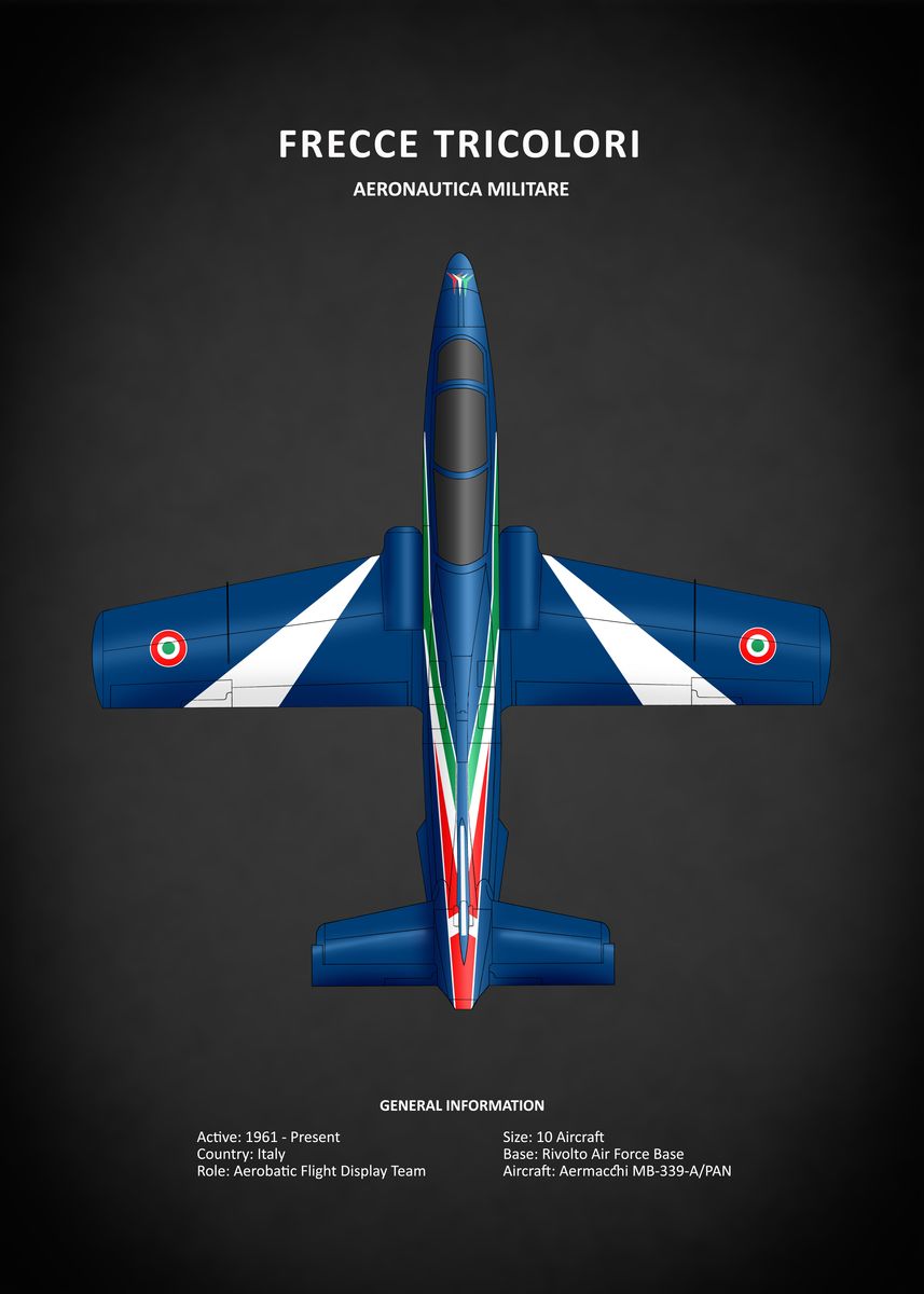 Frecce Tricolori  Best Shot Aircraft