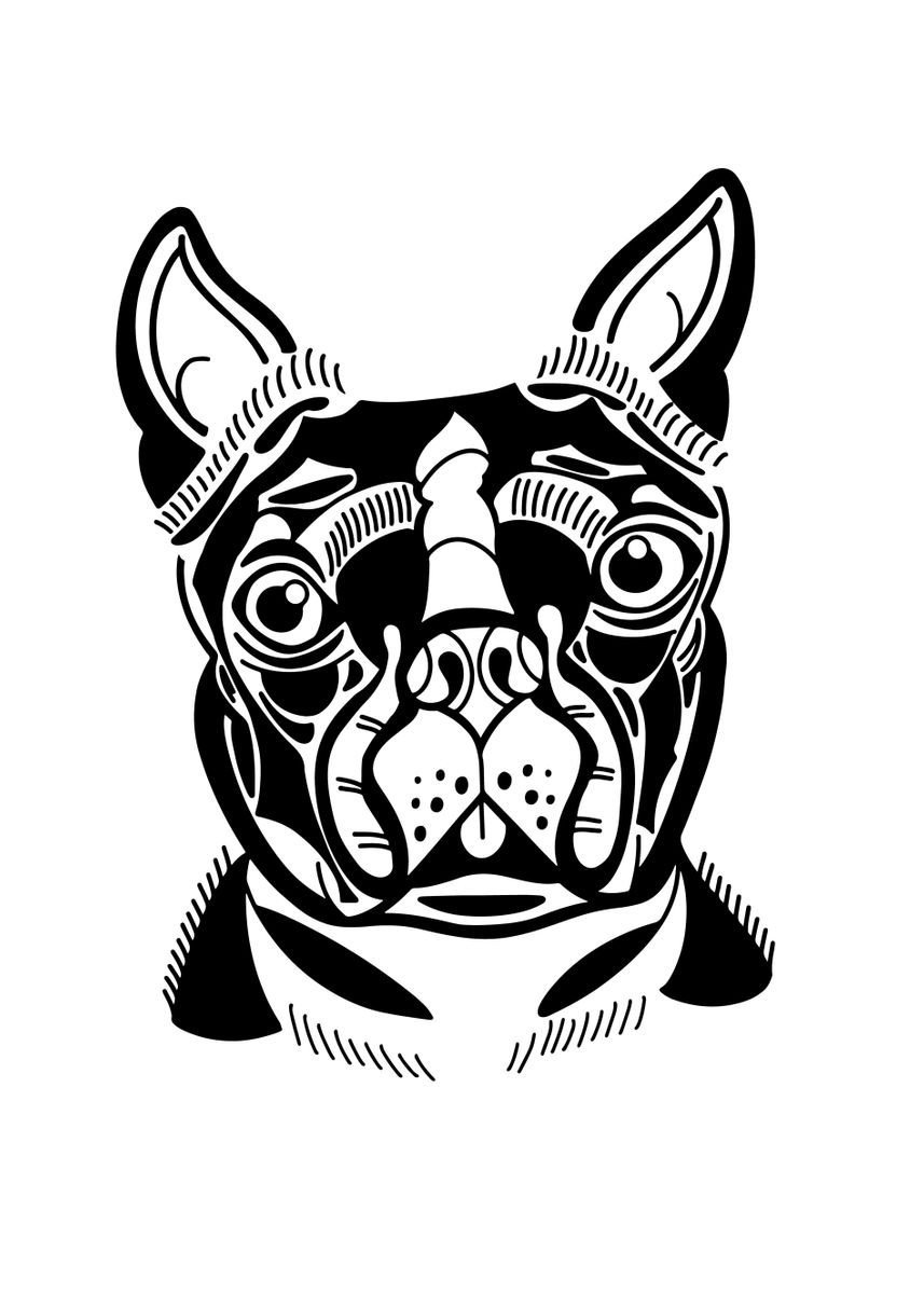 'BOSTON TERRIER' Poster by Displate