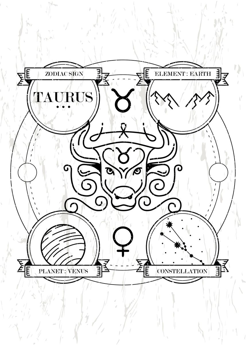 'Zodiac Taurus' Poster, picture, metal print, paint by Poster Parlor