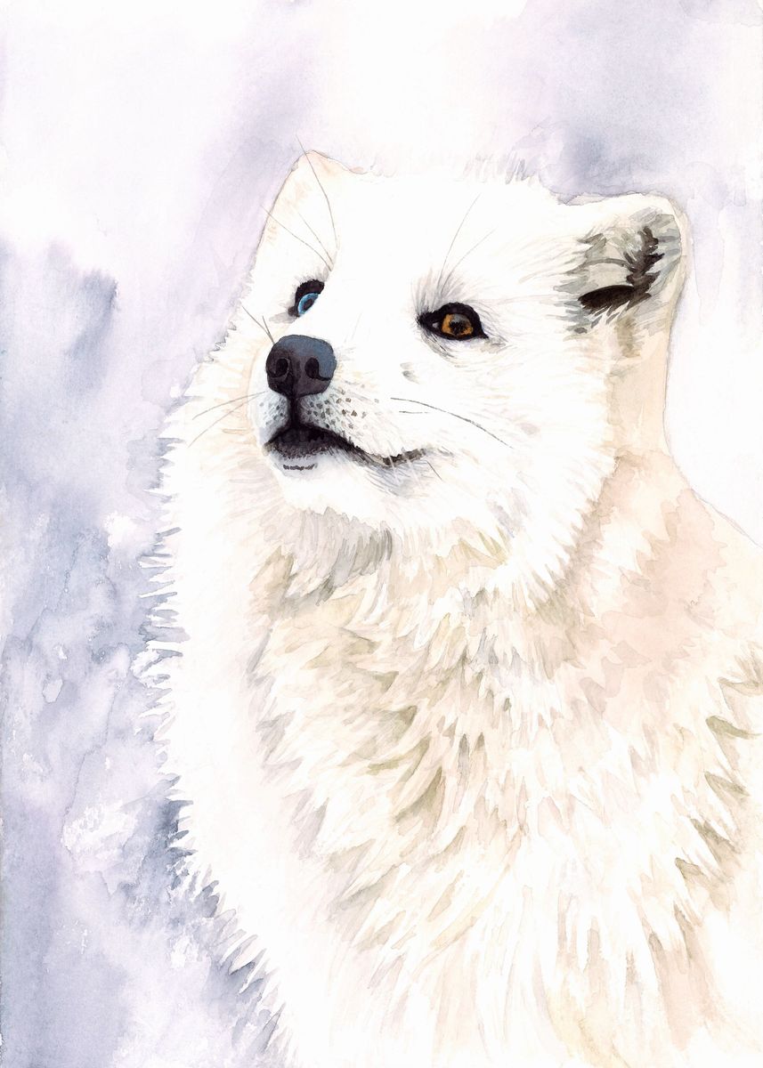 Arctic Fox - Watercolor Paint Poster for Sale by ABArtByAlexST