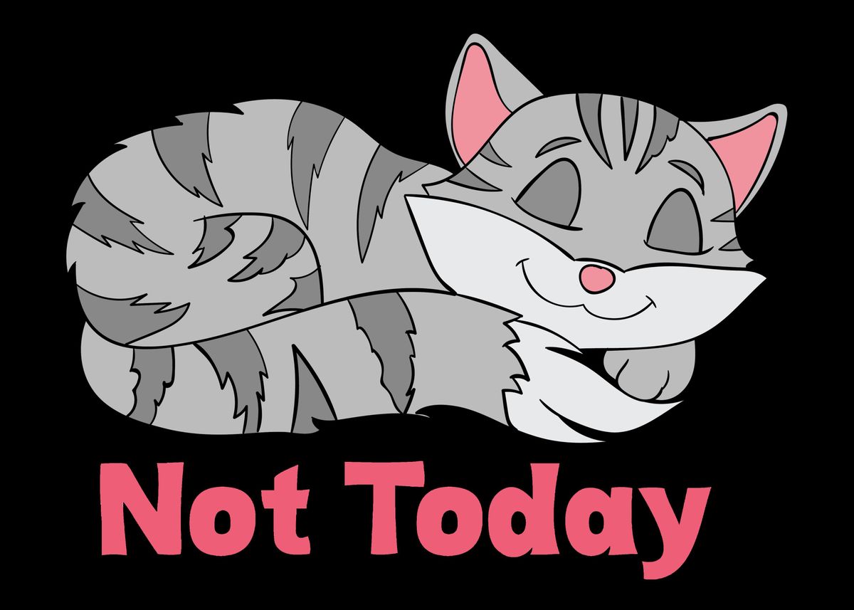 not today cat