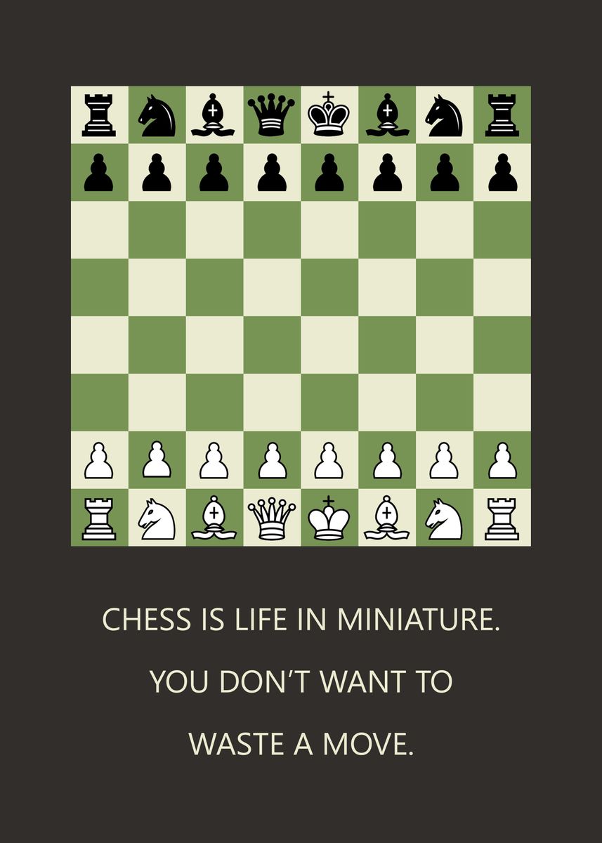 Life is like a game of chess -- you don't want to waste a move.