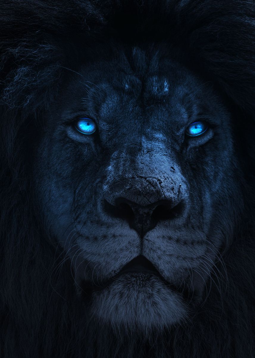 Dark Lion' Poster by Nikki Arts | Displate