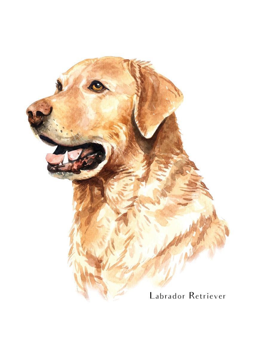 'Labrador' Poster by Motivation Charllie | Displate