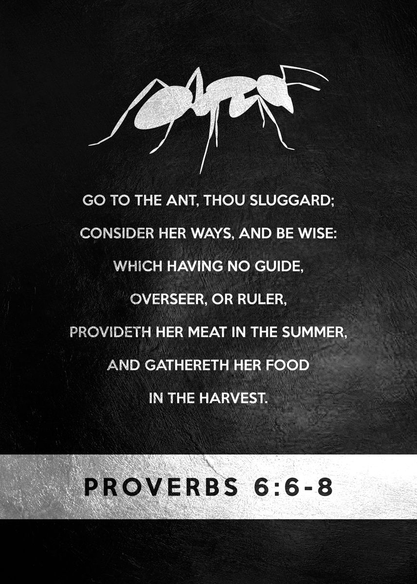 Proverbs 6 6 8 Poster Picture Metal Print Paint By ABConcepts Proverbs 6 6 8 Poster Picture Metal Print Paint By ABConcepts