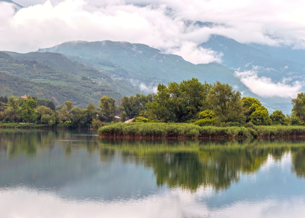 'reflection on lake' Poster by Ornella Bonomini | Displate