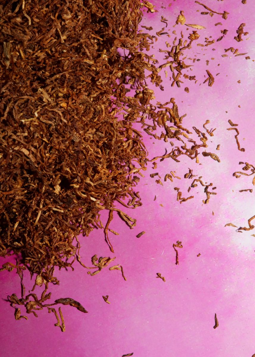 &lsquo;Tobacco leaves background&rsquo; Poster, picture, metal print, paint by