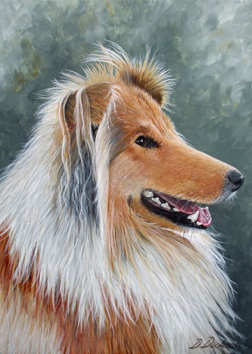 Jamie Collie 'Jamie Scotch collie' Poster, picture, metal print, paint by Debra ...