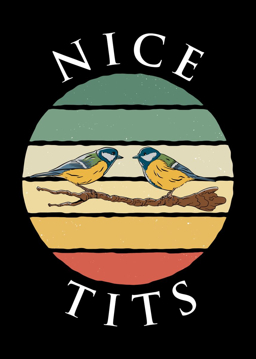 Nice Tits Retro Sunset Poster By Qwertydesigns Displate 