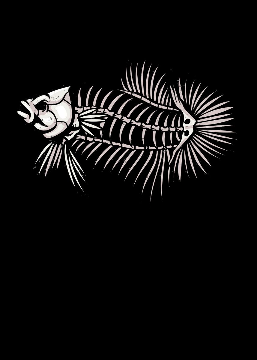 'Betta Fish Skeleton' Poster, picture, metal print, paint by Foxxy