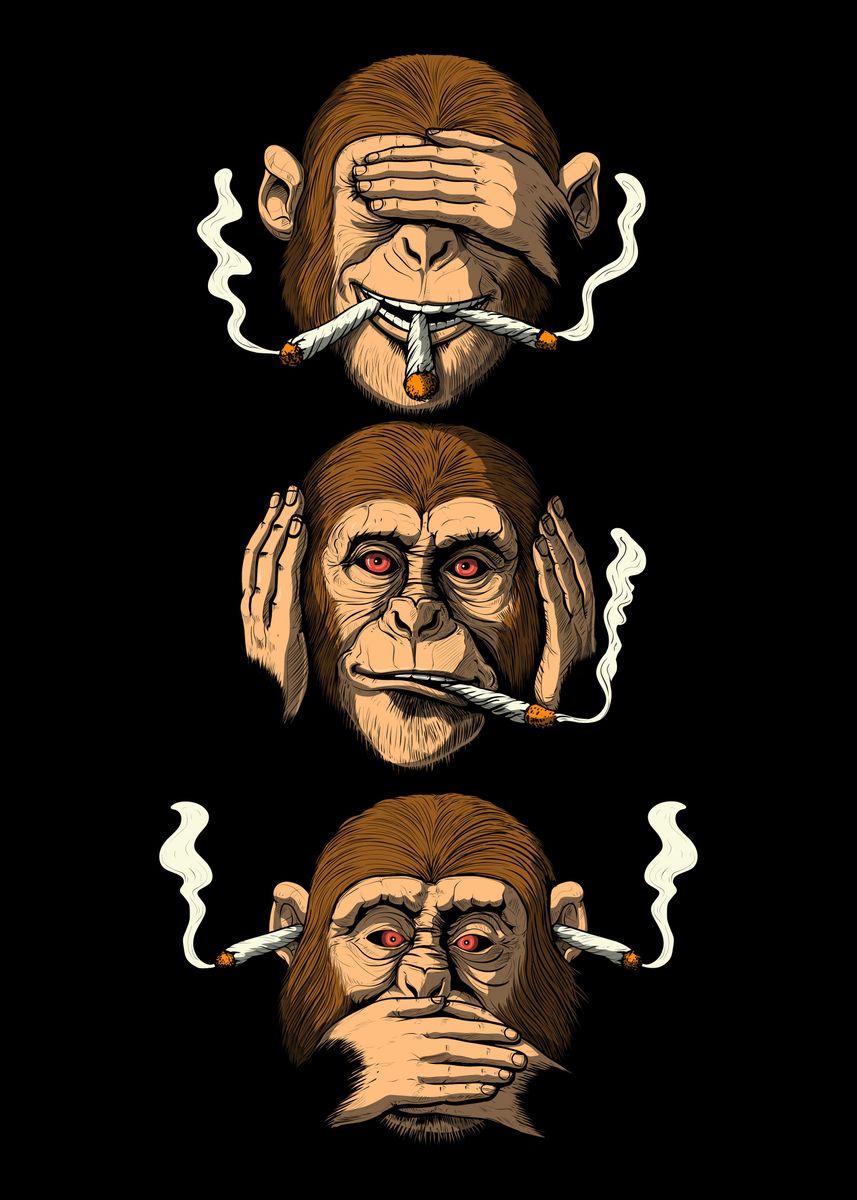 monkeys smoking weed