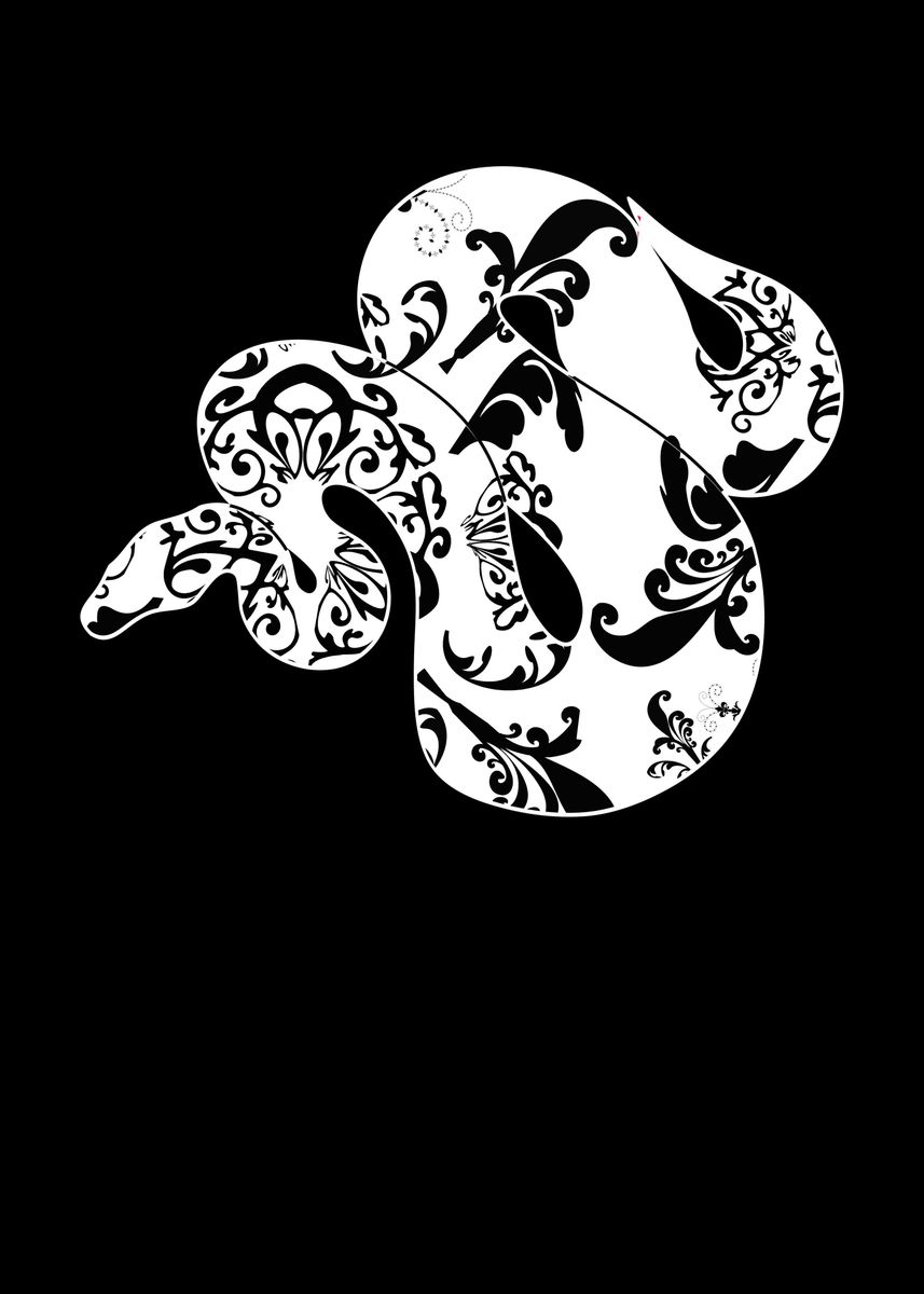 'Ball Python Silhouette' Poster, picture, metal print, paint by ...