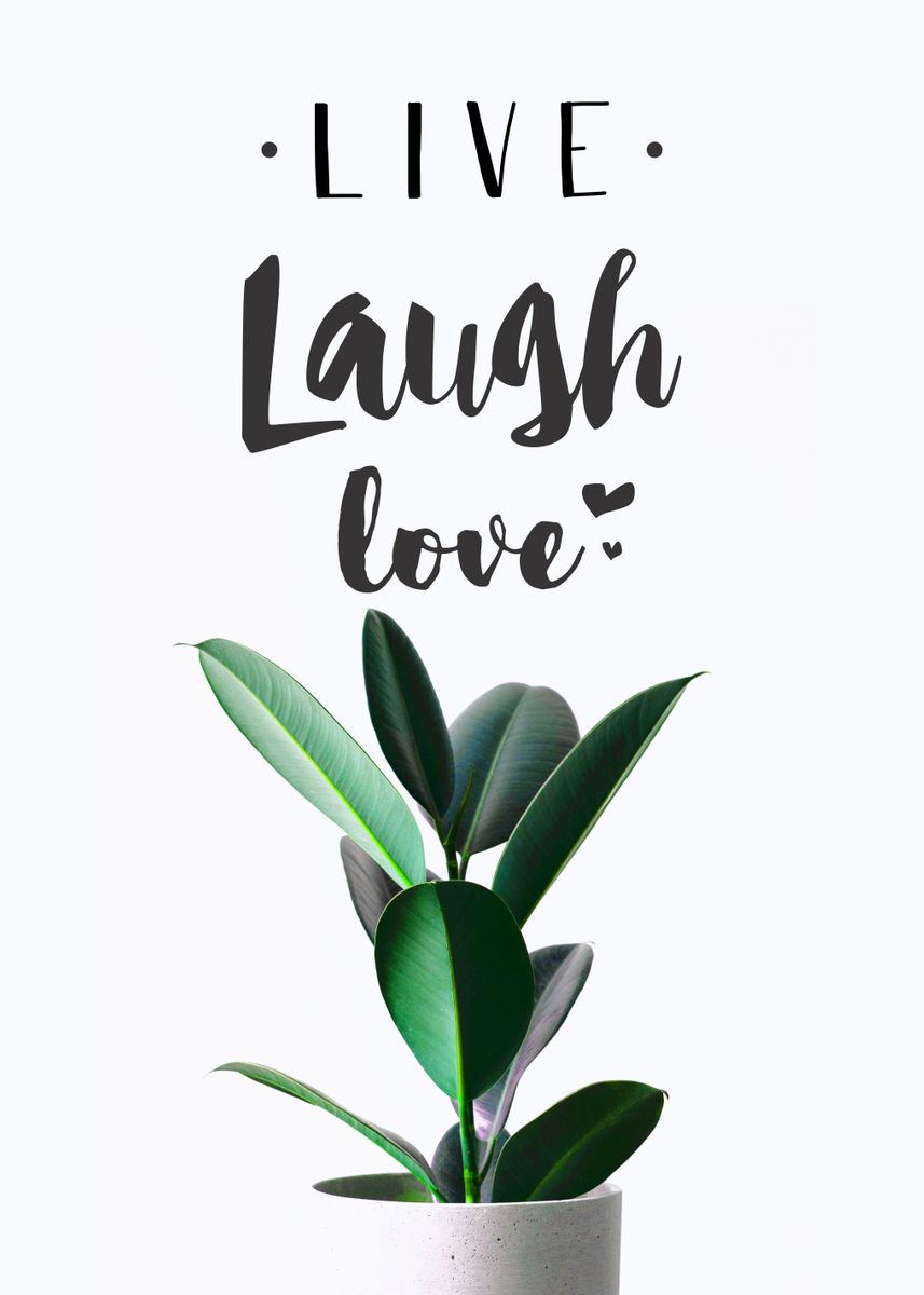 Live Laugh Love Sign, Live Laugh Love Poster for Sale by graphic