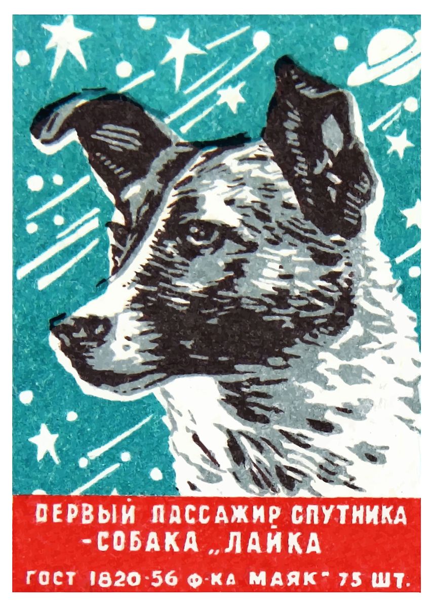 'Soviet CCCP Laika Poster' Poster, picture, metal print, paint by ...