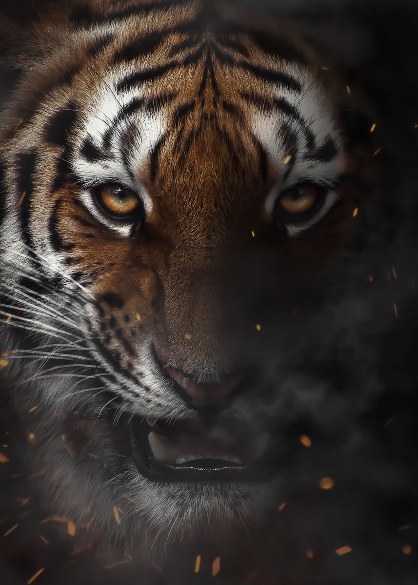 'wild tiger face poster ' Poster by MK studio | Displate