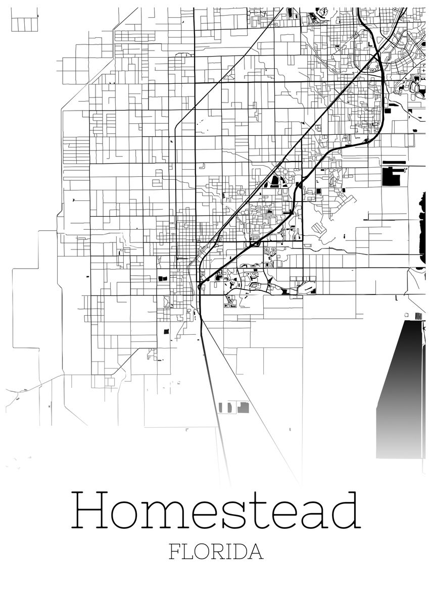 Homestead Florida City Map Poster By Reldesign Displate 9063