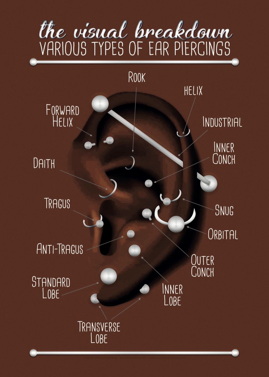 'Ear Piercing Chart Dark' Poster by Jarrod Vandenberg | Displate