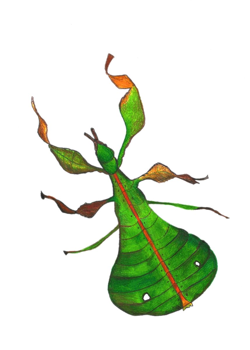 'Leaf Insect' Poster, picture, metal print, paint by Nathascha Kehl ...