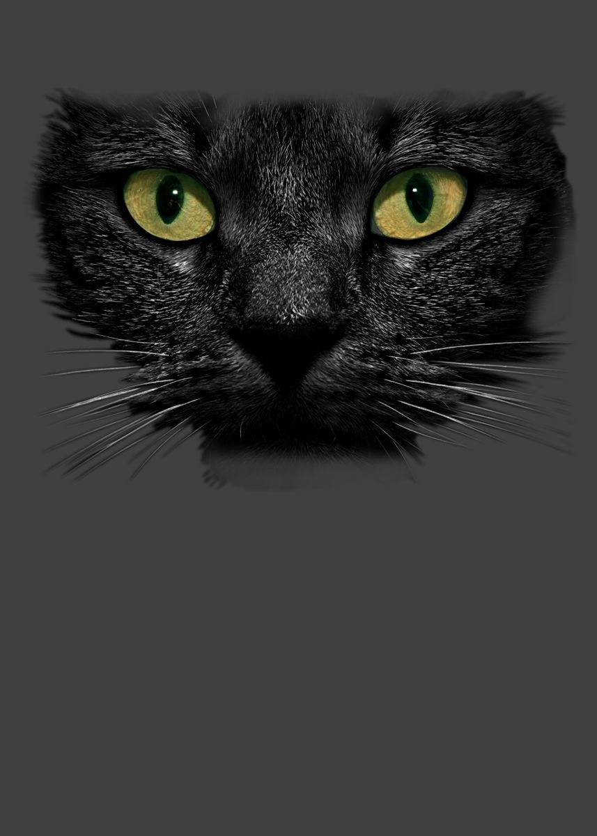 'Black Cat Face Cat Lover' Poster by MaximusDesigns | Displate