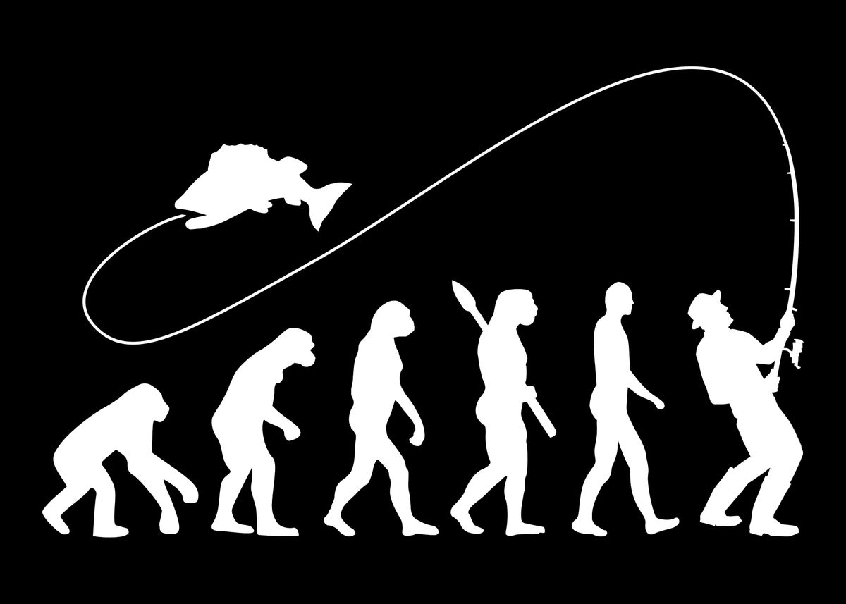 'Fishing evolution' Poster by Designzz Displate