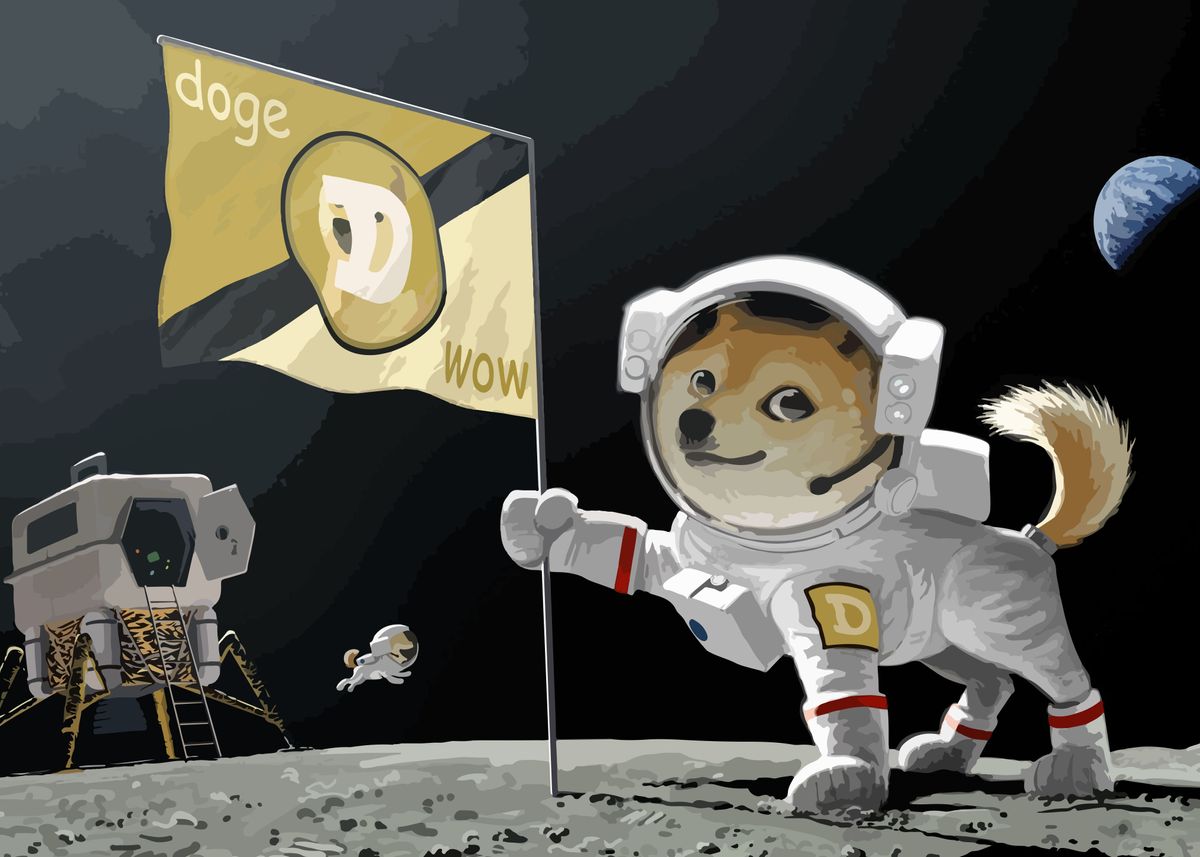 Wow Doge Poster