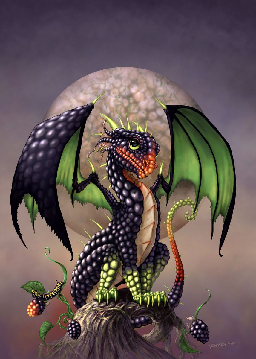 'Blackberry Dragon' Poster by Stanley Morrison | Displate