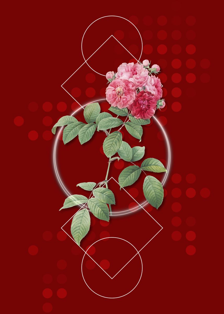 ‘Vintage Seven Sisters Rose’ Poster by Holy Rock Design | Displate