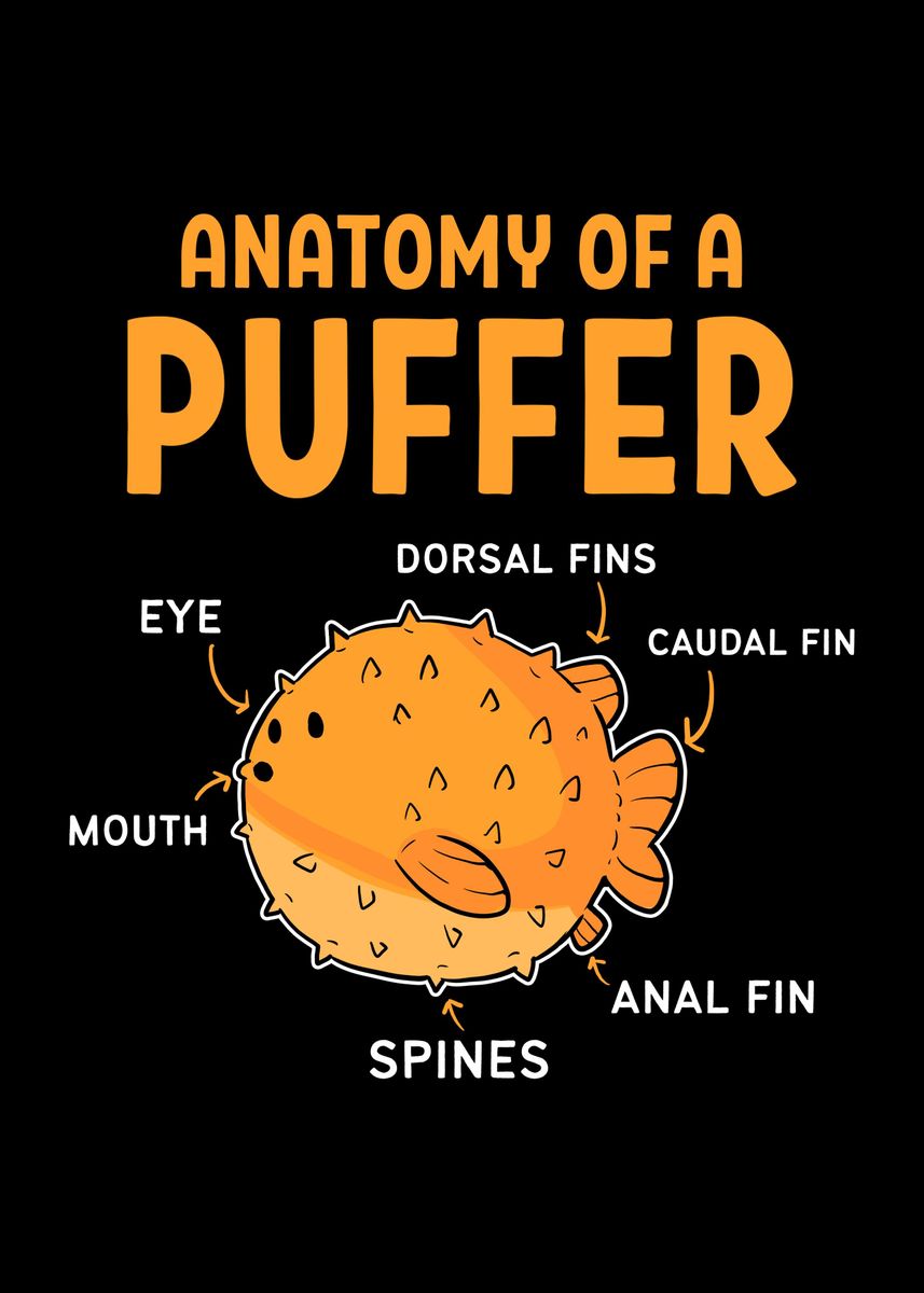 'Anatomy Of A Puffer Fish' Poster by FunnyGifts Displate