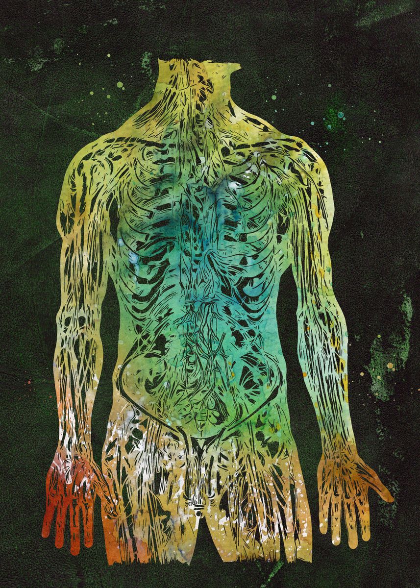  Human Body Poster Picture Metal Print Paint By Erzebet Prikel 