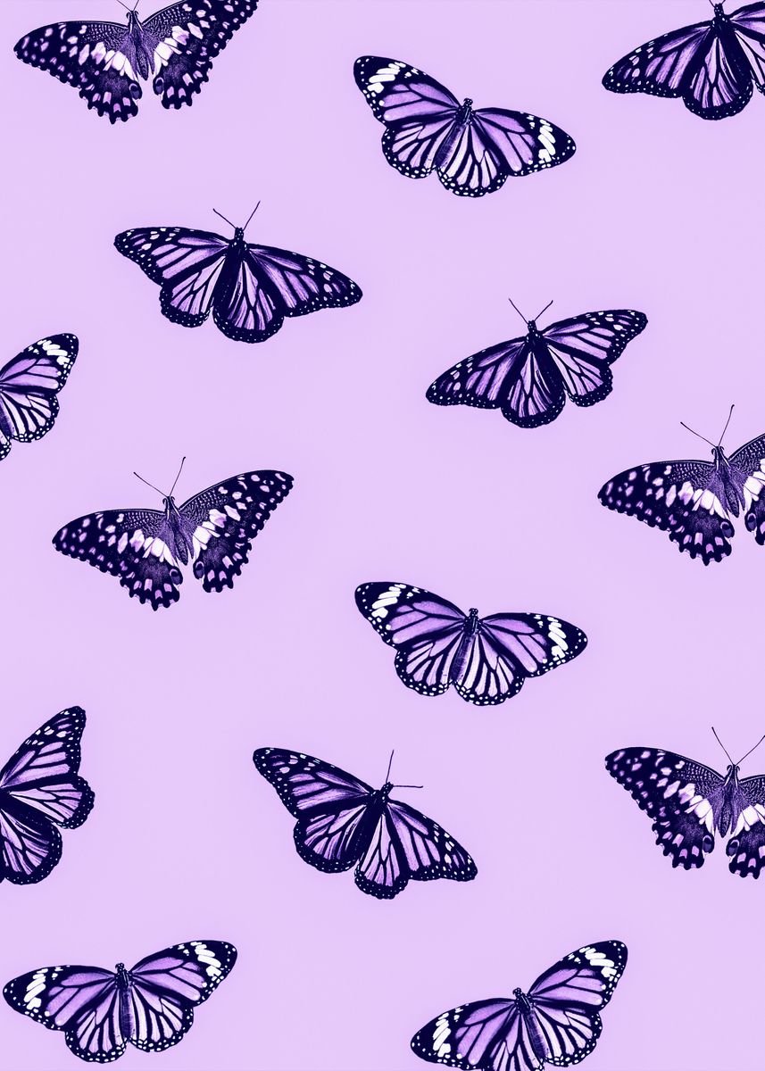 Hues　Displate　paint　Butterflies'　picture,　Poster,　Haus　metal　by　print,　Purple　and