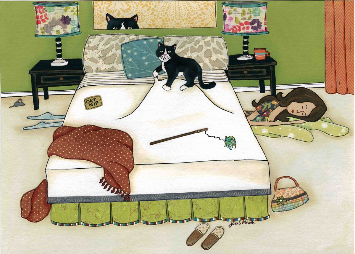 Кошачья спальня