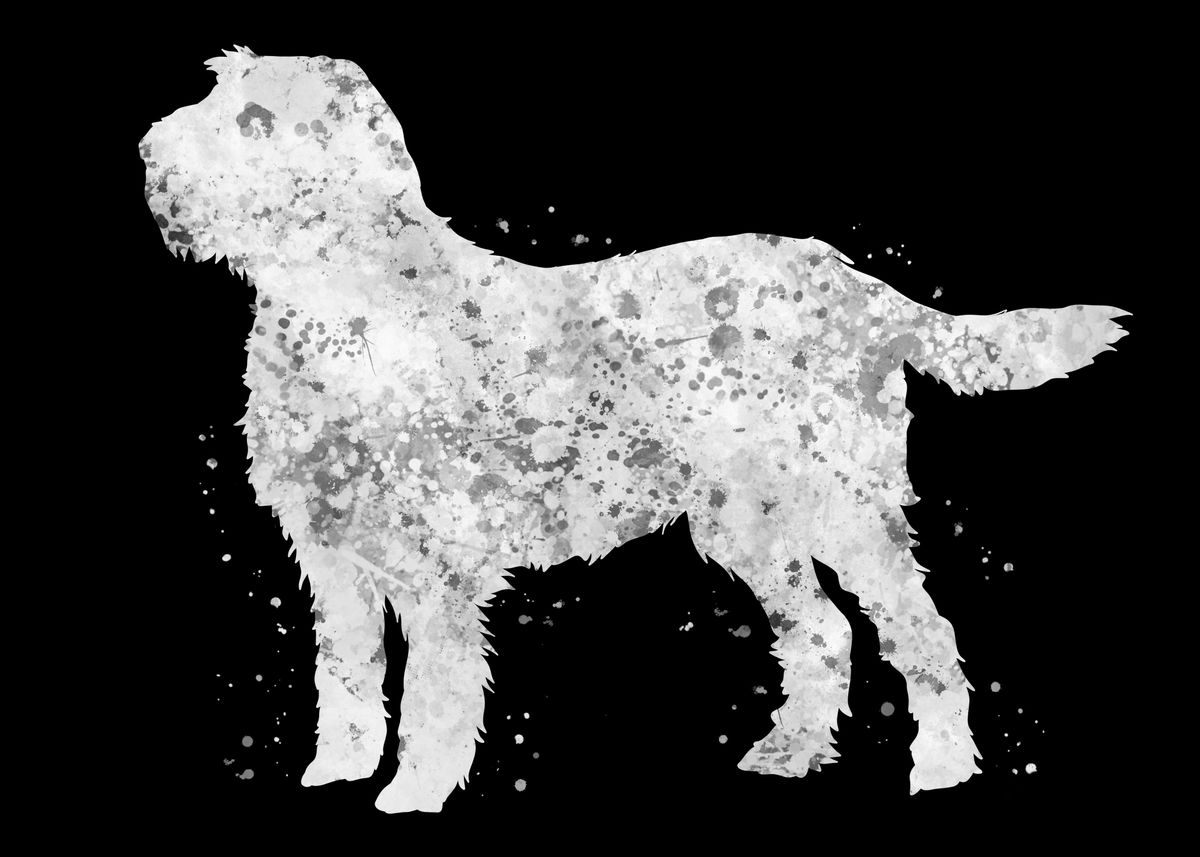 'Italian Spinone dog' Poster by Yahya Art Displate