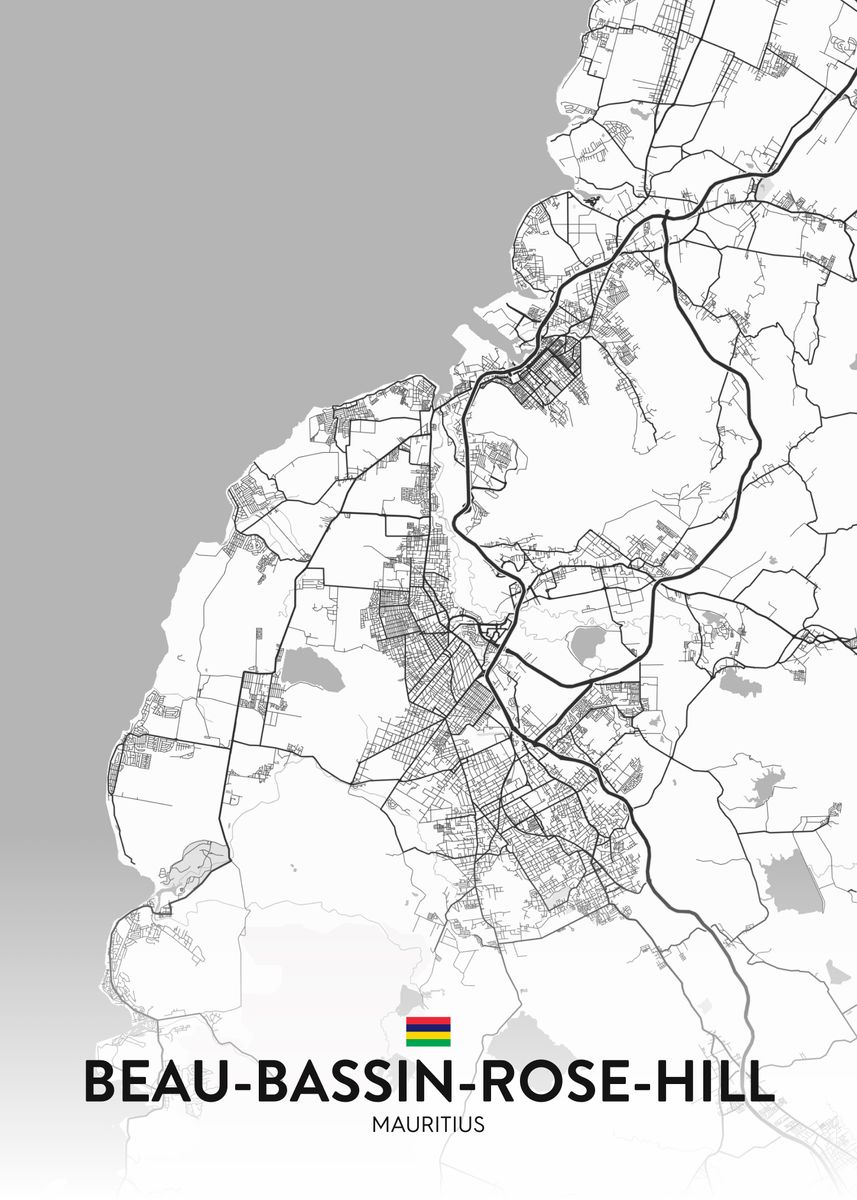 'Beau Bassin Rose Hill MU' Poster by IMR Designs Displate