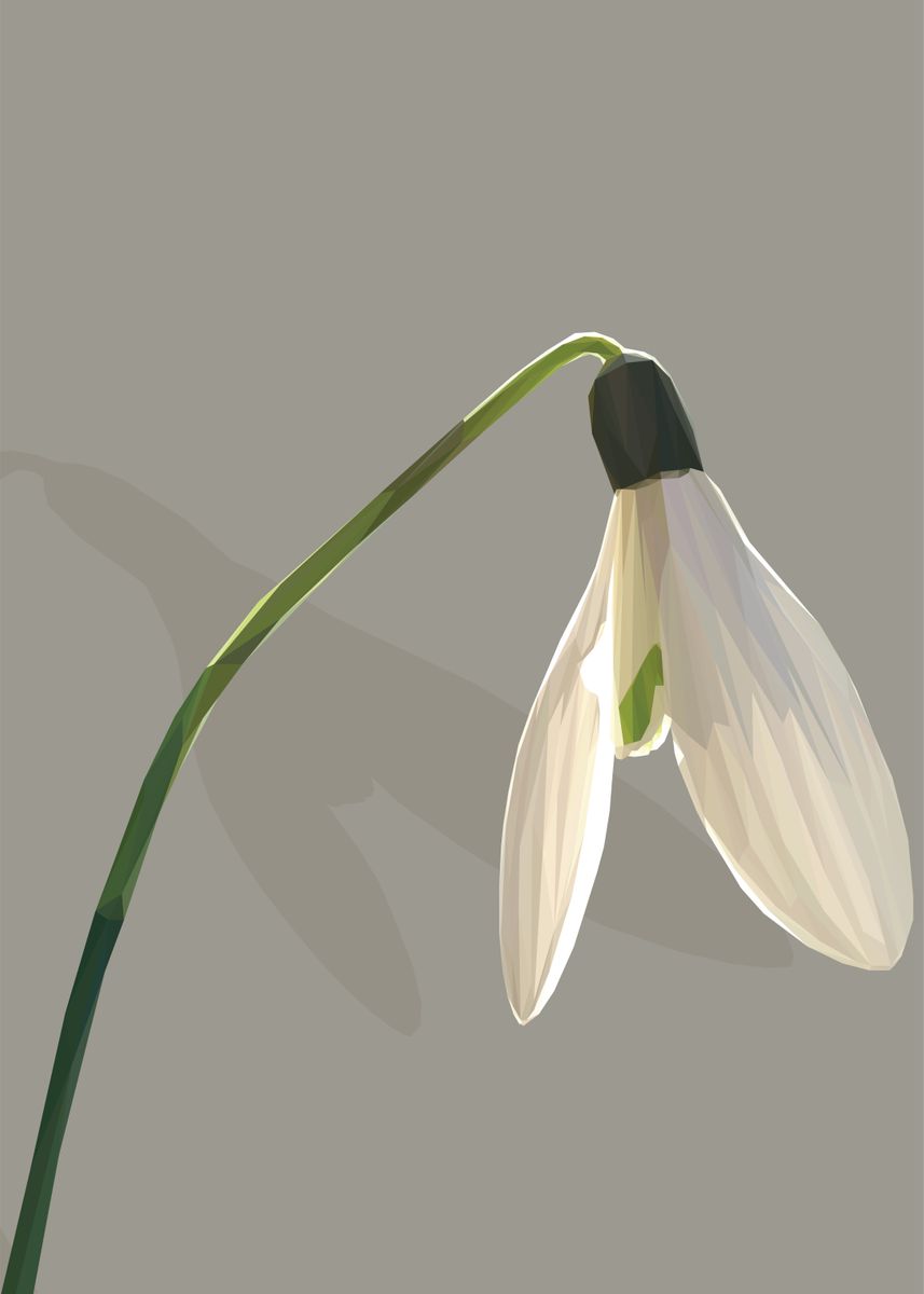 'Low Poly Snowdrop' Poster by Erin Campbell | Displate