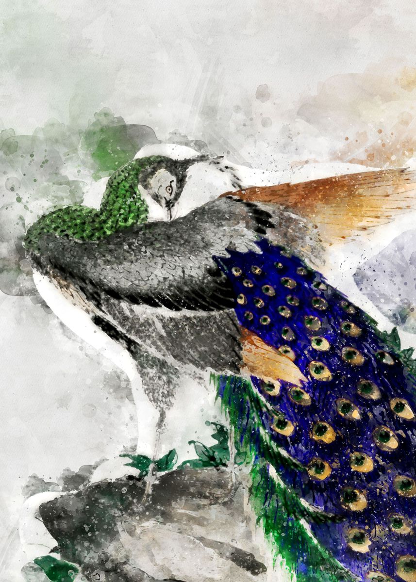 'Peacock Watercolor Art' Poster, picture, metal print, paint by Dedy ...