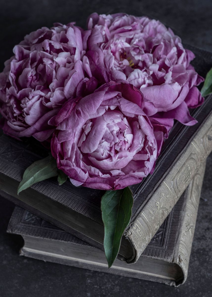 Still life with fresh lilac Photograph by Jaroslaw Blaminsky